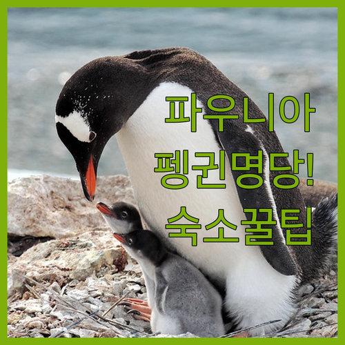 마드리드 파우니아 야간 개장 후기 펭귄 보기 좋은 시간과 에스파냐 광장 숙소 추천