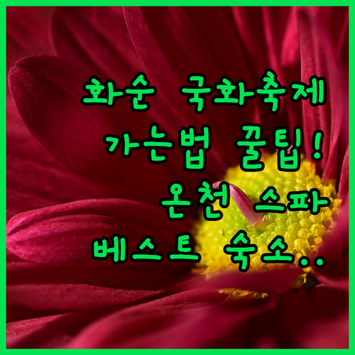 화순 국화축제장 가는 방법과 온천 스파 가능한 인근 호텔 베스트