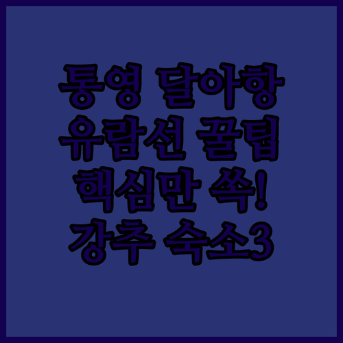 통영 달아항 유람선 이용 팁과 깨끗한 추천 숙소 3곳 후기