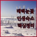 image 0b701850