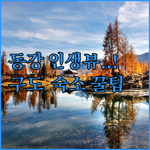 나리소 전망대 동강 뷰 포인트 렌즈별 구도 가이드와 영월 정선 주변 인기 숙소 시설 후기 정리