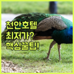 image 43d33569