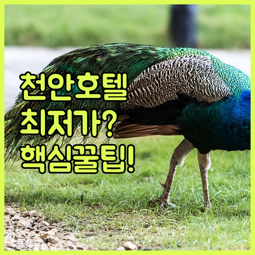 image 43d33569