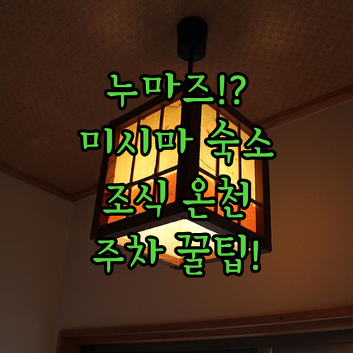 누마즈 미시마 여행 숙소 비교 분석 조식 온천 주차 후기 알아보기