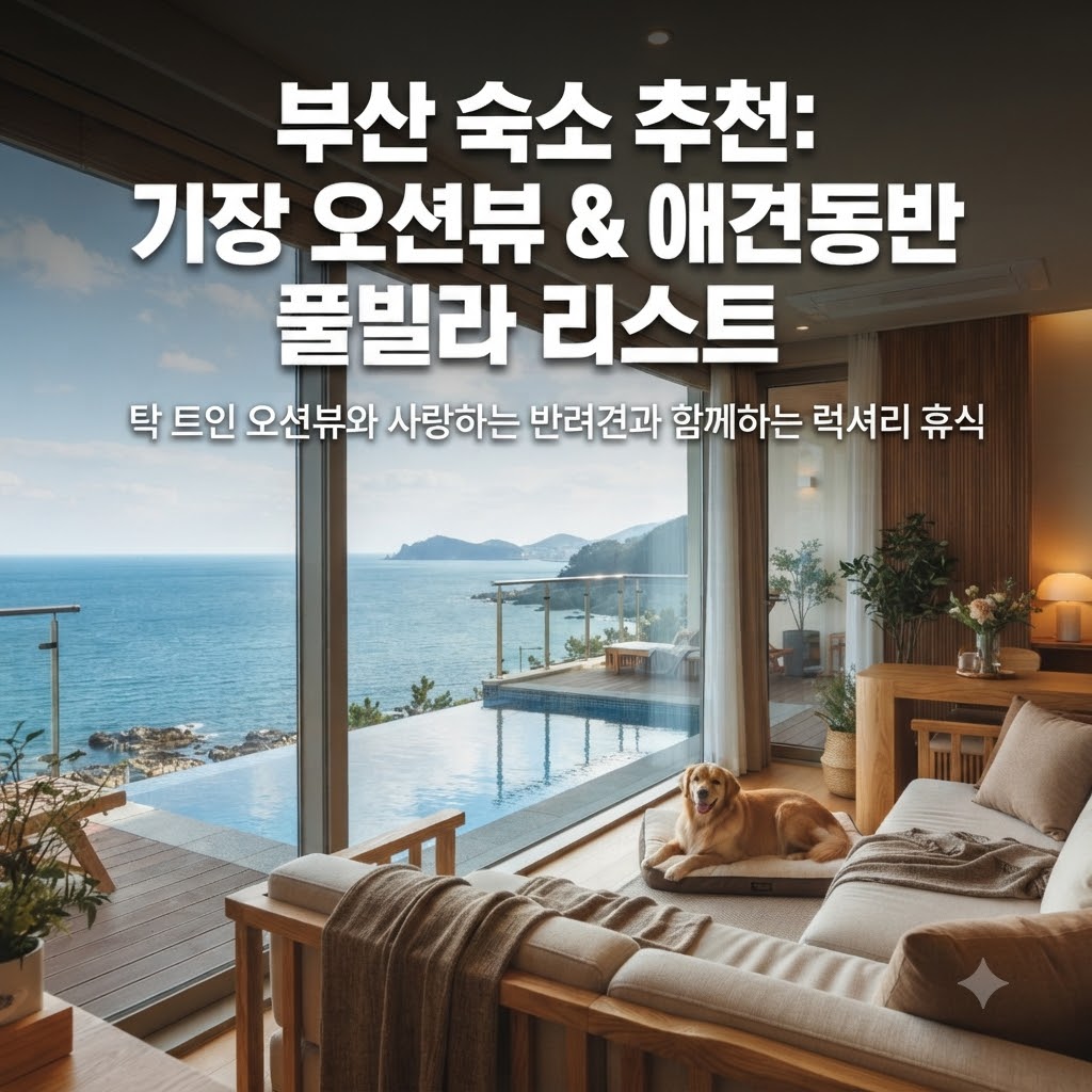 부산 숙소 추천 오션뷰와 반려견 동반이 가능한 기장 풀빌라 리스트