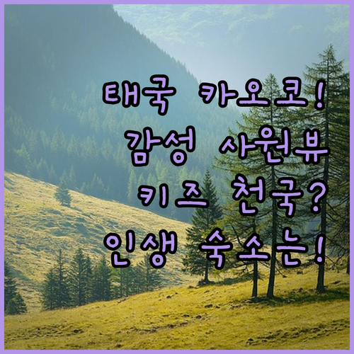 image 24897eb0