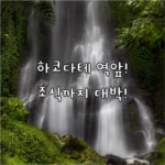 image 49d4e88f