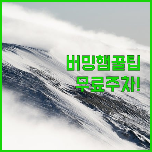 버밍햄 숙소 추천 센트럴 파크 주변 무료 주차 컴포트 인 앤 스위트 앳 크로스플렉스 빌리지