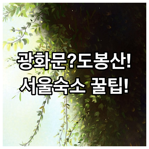 서울 숙소 추천 광화문 중심가와 도봉산 전망 중 어디가 맞을까?