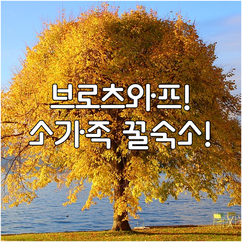 image 7c7f2f83