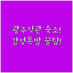 image 9ee06317