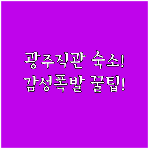 광주 숙소 추천 야구장 직관과 감성 테마 휴식을 위한 선택