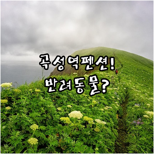 곡성 펜션 추천 역에서 가까운 프라이빗 바베큐 숙소와 반려동물 동반 가능한 펜션
