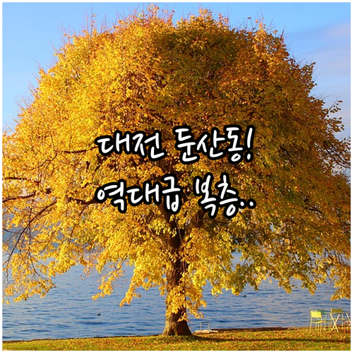 대전 숙소 추천 둔산동 갤러리아가 가까워 뚜벅이 커플이 쉬기 좋은 시티뷰 복층
