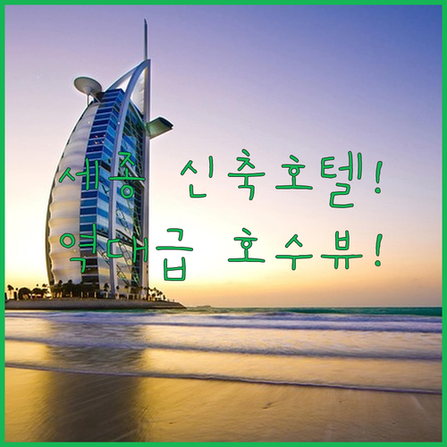 세종시 호텔 추천 코트야드 바이 메리어트 세종 세종호수공원 조망과 깔끔한 신축 객실